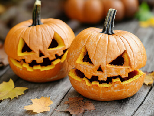 Divi 5 Modul Handlungsaufruf