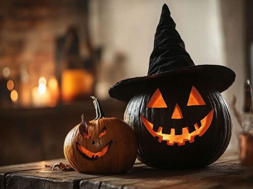 Divi 5 Modul Filterbares Portfolio