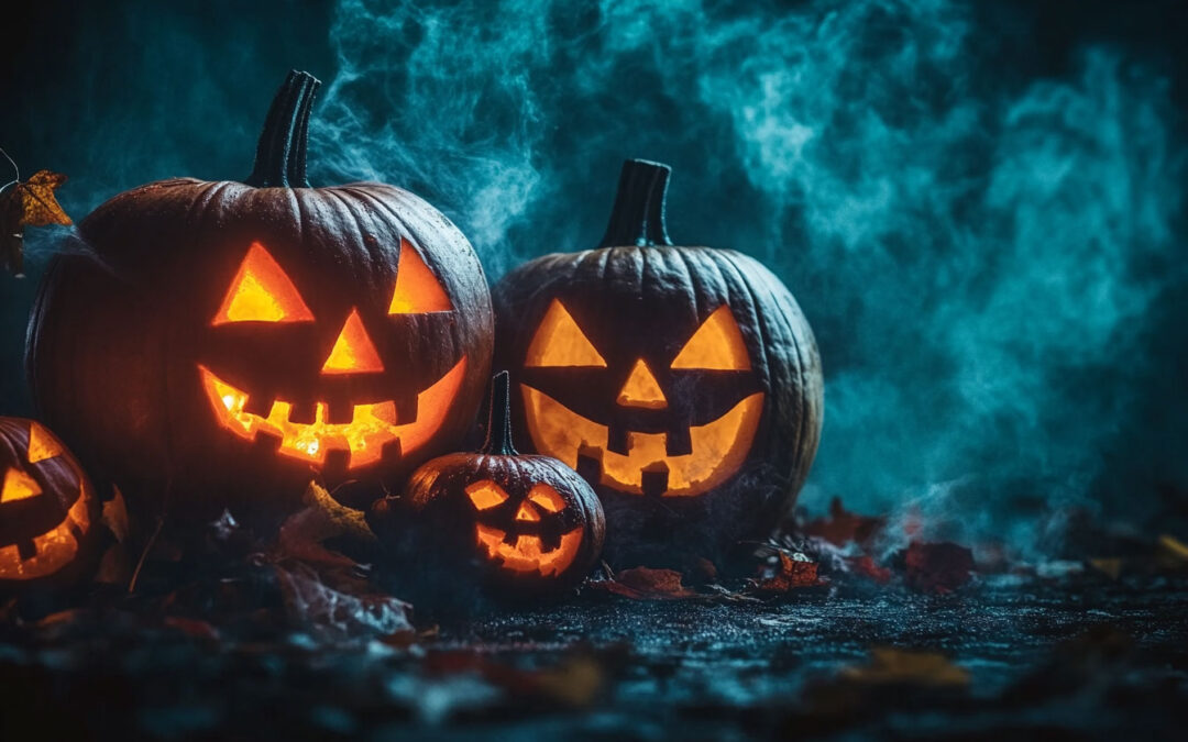 Divi 5 Modul E-Mail Optin