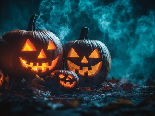 Divi 5 Modul E-Mail Optin