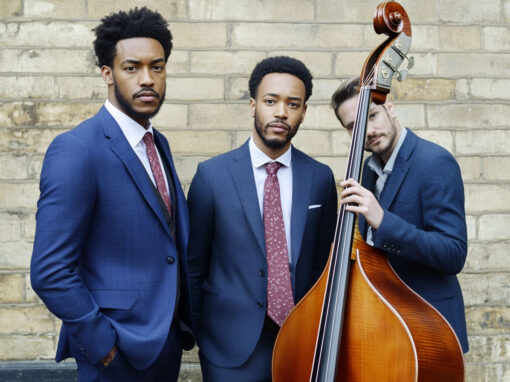 Divi 5 Modul Akkordeon